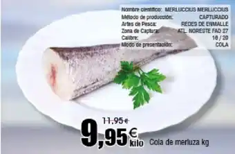 FROIZ Cola de merluza oferta