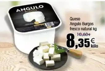 FROIZ Queso Angulo Burgos fresco natural oferta