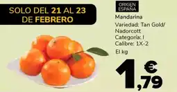 Supeco Mandarina oferta