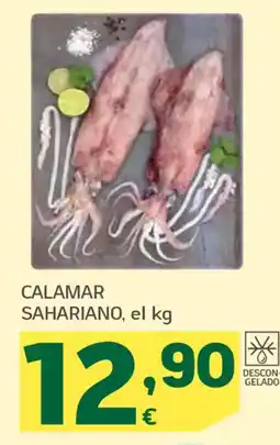 HiperDino Calamar sahariano oferta