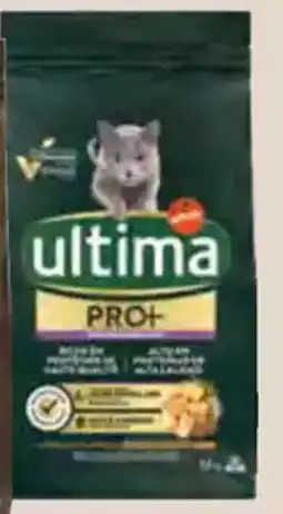 HiperDino ULTIMA cat mini pro+ pollo o pro+ salmon oferta