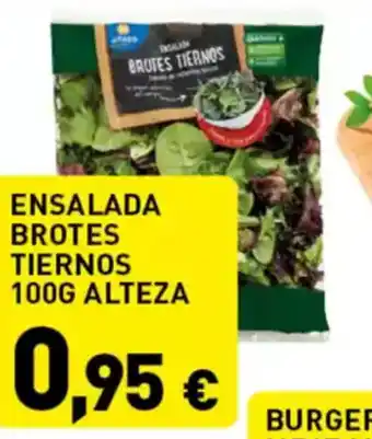 Hiperber Ensalada brotes tiernos oferta