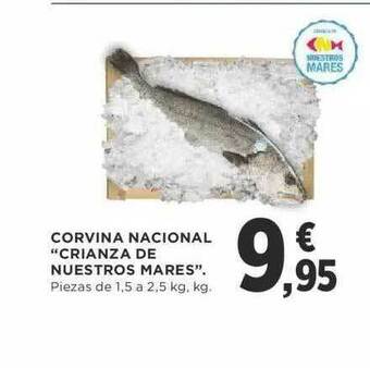 Supercor Corvina Nacional oferta