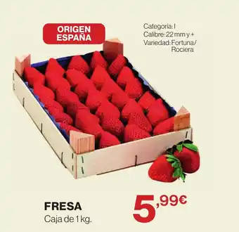 Supercor Fresa oferta