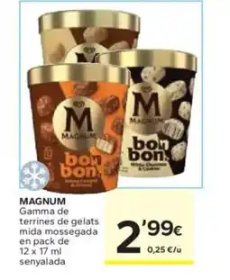 Caprabo MAGNUM Gamma de terrines de gelats mida mossegada oferta