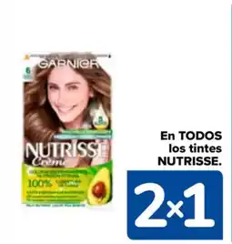 Carrefour NUTRISSE En todos los tintes oferta