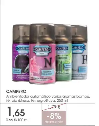 Supermercados Plaza Campero oferta