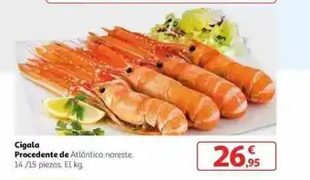 Alcampo Cigala Procedente De Atlántico Noreste oferta