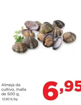 Alimerka Almeja de cultivo oferta