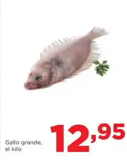 Alimerka Gallo grande oferta