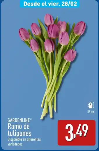 ALDI GARDENLINE® Ramo de tulipanes oferta