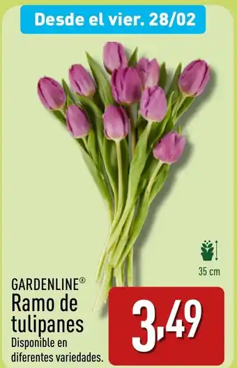 ALDI GARDENLINE® Ramo de tulipanes oferta