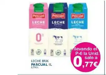 Cash Ecofamilia Leche Brik Pascual 1L oferta