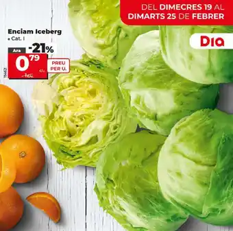 Dia Enciam Iceberg oferta