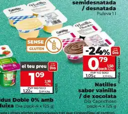 Dia Natilles sabor vainilla / de xocolata oferta