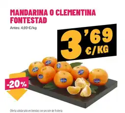 AhorraMas Mandarina o clementina fontestad oferta