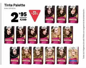 AhorraMas Tinte Palette oferta