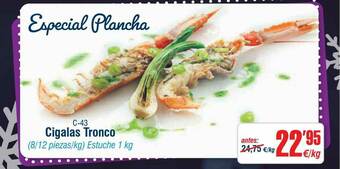 Abordo Cigalas Tronco oferta