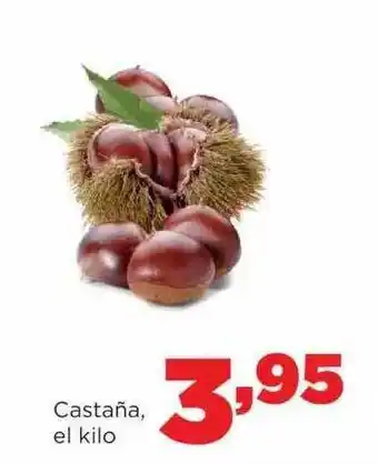 Alimerka Castaña oferta