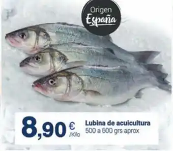 Supermercados Plaza Lubina de Acuicultura oferta