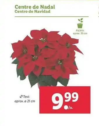 Lidl Centre De Nadal Centro De Navidad oferta