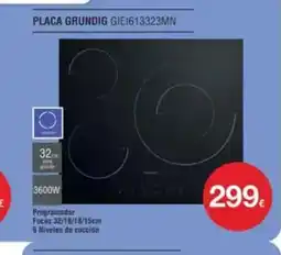 Milar GRUNDIG Placa GIEI613323MN oferta