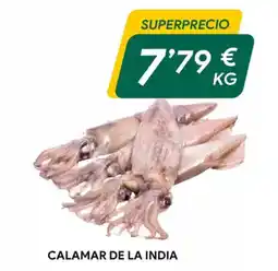 Masymas Calamar de la india oferta