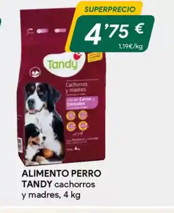 Masymas TANDY Alimento perro oferta