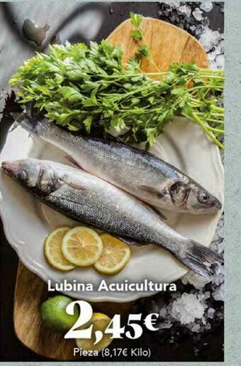 Gadis Lubina Acuicultura oferta