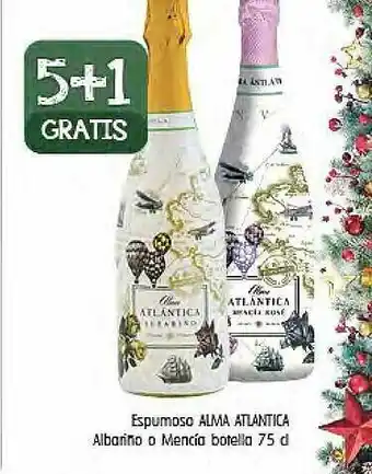 Cash Ifa Espumosxo Alma Atlantica Albariño O Mencía Botella oferta