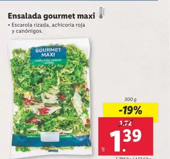 Lidl Ensalada gourmet maxi oferta