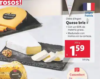 Lidl Queso brie oferta