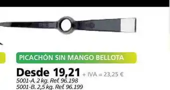 Coferdroza Picachón Sin Mango Bellota oferta