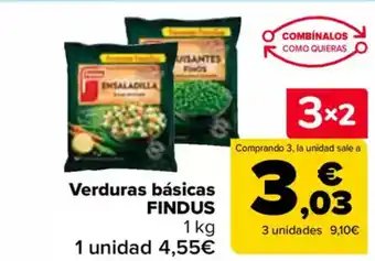 Carrefour FINDUS Verduras básicas oferta