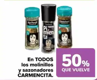 Carrefour CARMENCITA En todos los molinillos y sazonadores oferta