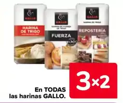 Carrefour GALLO En todas las harinas oferta