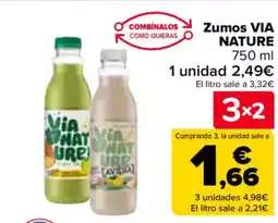 Carrefour VIA NATURE Zumos oferta