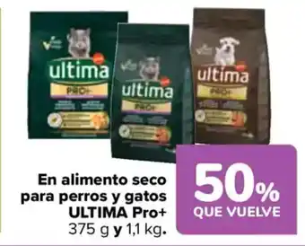 Carrefour ULTIMA PRO+ En alimento seco para perros y gatos oferta