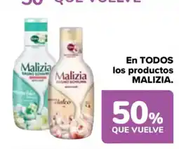 Carrefour MALIZIA En todos los productos oferta