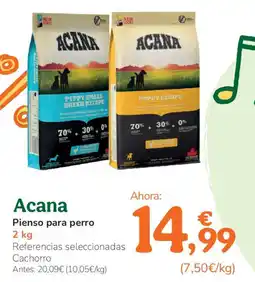 TiendAnimal ACANA Pienso para perro oferta