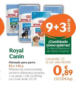 TiendAnimal ROYAL CANIN Húmedo para perro oferta