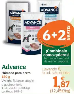 TiendAnimal ADVANCE Húmedo para perro oferta