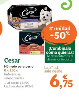 TiendAnimal CESAR Húmedo para perro oferta