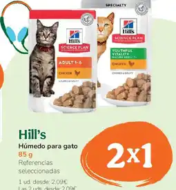 TiendAnimal HILLS Húmedo para gato oferta