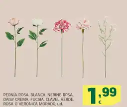 HiperDino Peonía rosa, blanca, nerine rpsa, daisy crema, fucsia, clavel verde, rosa o veronica morado oferta