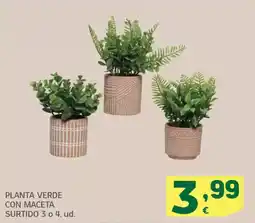 HiperDino Planta verde con maceta surtido oferta