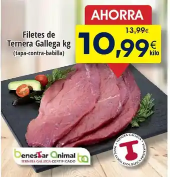 FROIZ Filetes de Ternera Gallega oferta