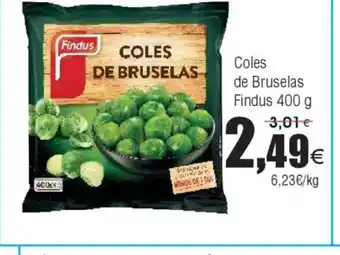 FROIZ FINDUS Coles de Bruselas oferta