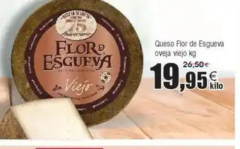 FROIZ Queso Flor de Esgueva oveja viejo oferta