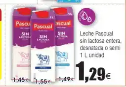 FROIZ Leche Pascual sin lactosa entera, desnatada o semi oferta